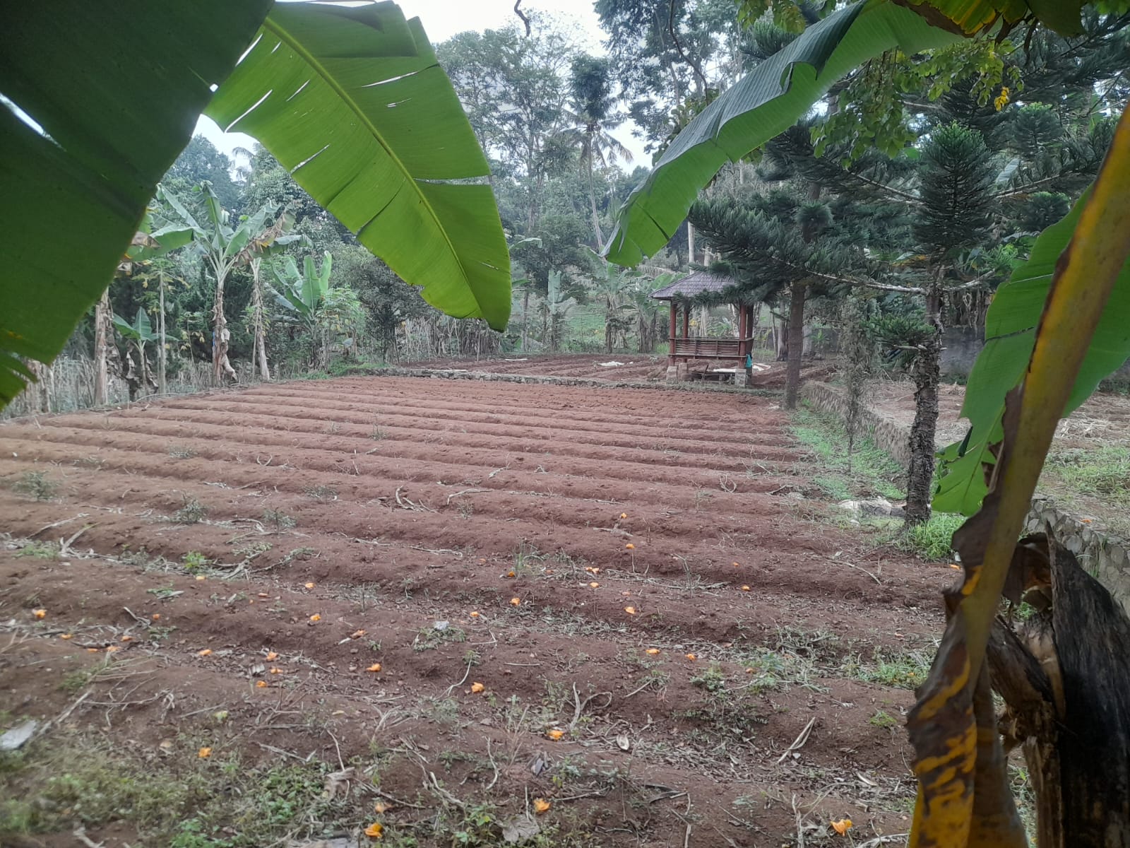 Ketika Doa Membuka Jendela Langit
