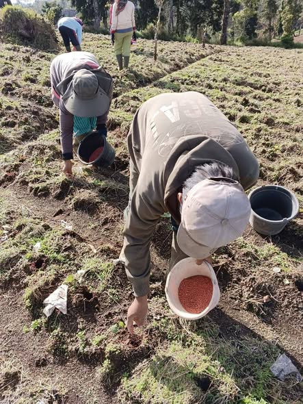 Petani Merawat Jagat Membangun Peradaban